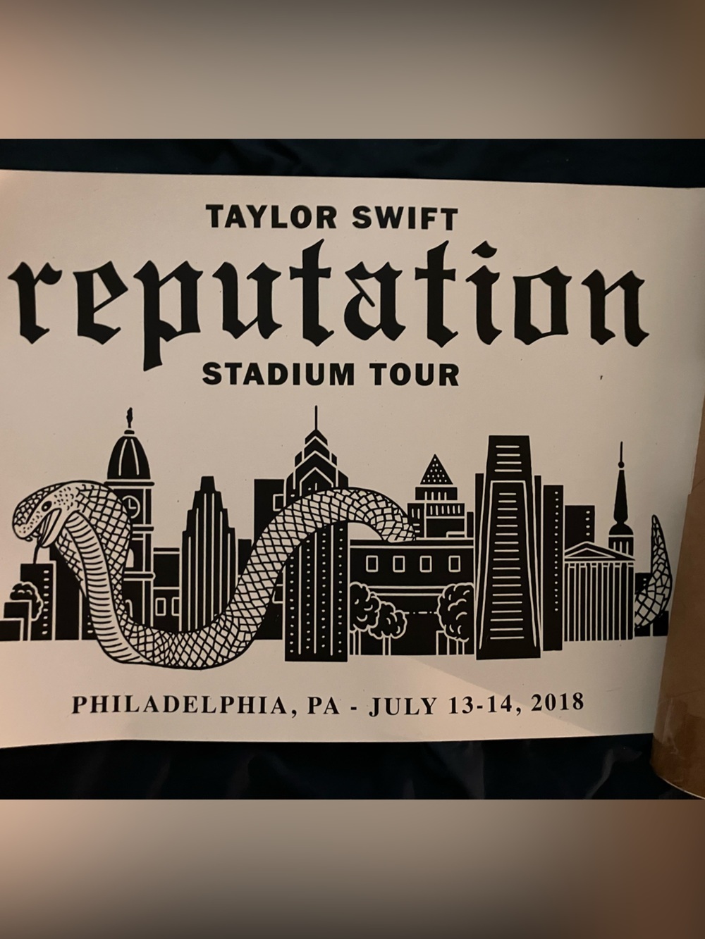Reputation Stadium Tour Wall Art Poster - Black